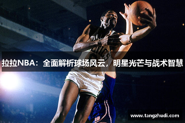 拉拉NBA：全面解析球场风云，明星光芒与战术智慧